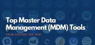Image result for Computers Software Master Data Management Finance