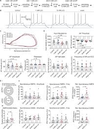 For severe poisioning and marked renal and neurological effects, hemodialysis remains as the treatment of choice. Differential Acute Impact Of Therapeutically Effective And Overdose Concentrations Of Lithium On Human Neuronal Single Cell And Network Function Translational Psychiatry