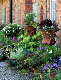 Container Gardens Container Garden Design Garden Containers Cottage Garden
