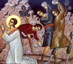 Image result for sf stefan