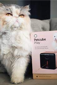 Pin On Petcube Pets