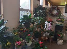 Forest of flowers is a full service florist that also offers beautiful floral designs for birthdays, sympathy & funeral, love & romance, get well, anniversaries, new baby, just because, seasonal flowers, father's & mother's day, thank you, congratulations, business gifting and more. About Robinson S Flowers Ltd Guelph On Florist