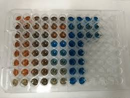 Maybe you would like to learn more about one of these? Difference Between Bradford And Lowry Protein Assay Compare The Difference Between Similar Terms