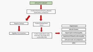 cardiac dysfunction and athletes heart new insights into