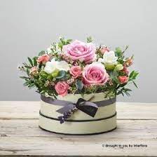 Rose Blush Hatbox Parkwood Florists Poole Dorset Hat Box Flowers Beautiful Rose Flowers Flower Delivery