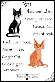 Pets Cat Quotes Cat Poems Cute Cats Photos