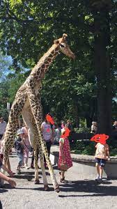 Just A Guy On Stilts In A Giraffe Costume Giraffe Costume Giraffe Stilt Costume