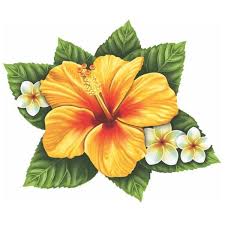 Triple Hibiscus Flower Red Yellow Pool Mosaic Flower Drawing Hibiscus Flower Drawing Mosaic Pool