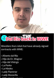 2025 Men's MITB Ladder Match Predictions