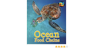 The hawksbill turtle's tapered head ends in a sharp point resembling a bird's beak, hence its name. Ocean Food Chains Food Chains And Webs Royston Angela 9781484605240 Amazon Com Books