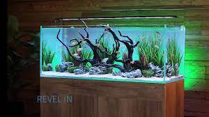 With over ten years of experience, aaron specializes in aquarium maintenance, custom design, manufacture, installation, and moving. Serene 65 Freshwater Aquarium System With A S Designs Aquascape Youtube