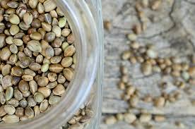 On the other hand, if it is just a small amount, storing rice in a sealed container in the freezer is a good way to keep dust and contaminants out as well as bugs and. Seed Storage 101 How To Store Cannabis Seeds Weedseedshop