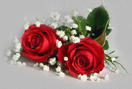 Картинки по запросу картинки анимация красота неописуемая