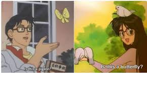 The spider killer isnow a butterfly man et sthegeh man with butterfly meme is this a meme?: Is This A Date Meme Butterfly
