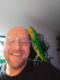 Old photograph to skin