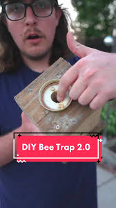 Gator Guy Carpenter Bees