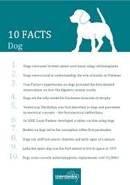 We'll track players' scores to their emails, names or another identifier of your choice. Dog 10 Facts Understanding Animal Research Understanding Animal Research