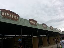 Film koboi ini bertabur bintang besar, di antaranya jeff bridges, matt damon, josh broling, dan hailee steinfeld. Kedai Vitamin Sylvia Cowboy Town Tuaran Tempat Rekreasi Seisi Keluarga