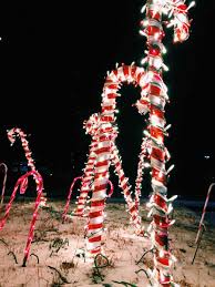 Connecting people and plants through education, discovery, research, and enjoyment of the natural and built landscape. Mccrory Gardens Brookings Hidden Gem