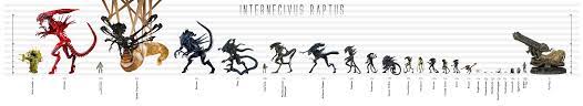 Queen mothers have only been encountered on xenomorph prime, where they were protected by palatines. Xenomorph Size Chart By Risen From The Ruins On Deviantart