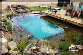 Small Scale Natural Swimming Pool Natural Swimming Ponds Small Pools Backyard Natural Swimming Pools