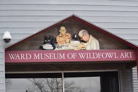 Ward Museum