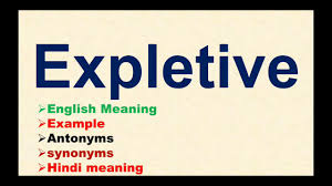 نتیجه جستجوی لغت [expletive] در گوگل