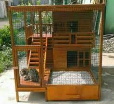 Berbaloi sebab sangkar kucing besar dan tahan karat. Pin Oleh Rina Kuswidiati Di Rumah Kucing Rumah Kucing Rumah Kamar Kucing