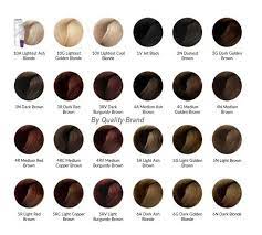 How to use ion color brilliance bright white creme lightener lighten your hair a review. Image Result For Ion Color Brilliance Color Chart Ion Hair Color Chart Ion Hair Colors Hair Color Chart
