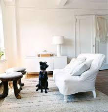 Pin On Rooms Dogs