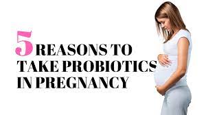 5 Reasons To Take Probiotics During Pregnancy Naturopathic Pediatrics