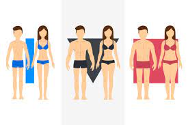 Your body looks long and narrow. Body Type Workouts What You Need To Know