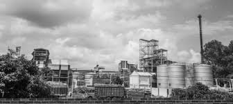 We did not find results for: Wave Industries Plans New Distillery In Dhanaura Food Sector News