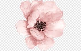 Pink Poppy Flower Painting Watercolor Painting Watercolour Flowers Pink Painting Color Flower Png Pngegg 81,000+ vectors, stock photos & psd files.
