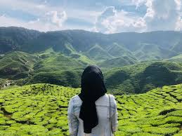 «bercuti ke cameron highland pd 02.08.2020. Nak Ke Cameron Highlands Ini 7 Tips Anda Kena Tahu Yoy Network