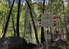 Cascate sentiero cossogno, rovegro, verbania. Cascate Acquafraggia E Rifugio Savogno Con Bambini Viaggi Dei Rospi