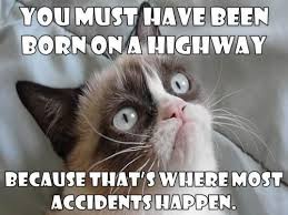 Grumpy Cat Thinks Your An Accident Funny Grumpy Cat Memes Grumpy Cat Quotes Grumpy Cat Humor