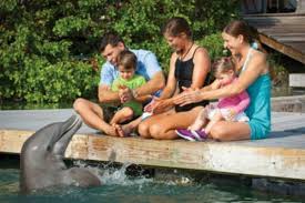 Hawks cay resort, duck key. Hotel Review Hawks Cay Resort Today S Mama