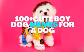 If you're already a pet parent, check to see if your pup's name made the list! 100 Best Cute Boy Dog Names 2021 Dog Names Badass Quotes