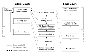 image result for federal courts flowchart court records