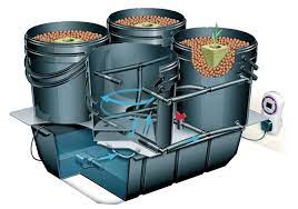 Understanding Dwc And Recirculating Deep Water Culture Get Bigger Blooms With Hydroponics