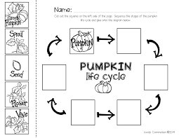 Pumpkin Sequencing With The Book Pumpkin Pumpkin Fall Kindergarten Pumpkin Life Cycle Pumpkins Preschool