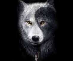 Wallpaper yin and yang wolves. Wolf Yin Yang Wallpaper Iphone Yin Yang Wallpapers Wolf Wallpaper Cave Find This Pin And More On Tattted Up Aries Wallpaper For Desktop Mobile Iphone And Tablets
