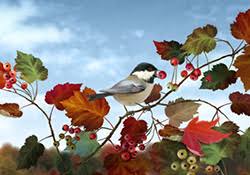 Over the time it has been ranked as high as 2 449 in the world, while most of its traffic comes from usa, where it reached as high as 500 position. Happy Thanksgiving Woodland Wonder E Card By Jacquie Lawson