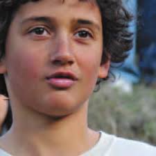 Pateke Survival Guide