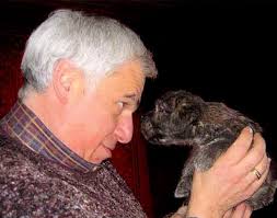 Glen of Imaal Terriers