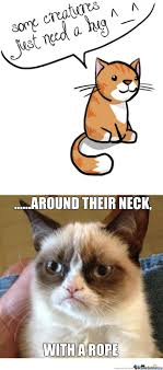 Clean grumpy cat meme compilation youtube. Grumpy Cat Memes Funny Clean Grumpy Cat