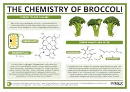 Pin By Silvana Casero On Chemistry Biochemistry Chemistry Food Chemistry