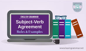 subject verb agreement rules examples learn english