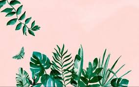 Romantic vector pink background with cute bow and pattern. Green Palm Leaves Drawn On Pink Background Cute Summer Wallpapers Cute Computer Backgrounds Cute Summer Wallpapers Cute Wallpapers